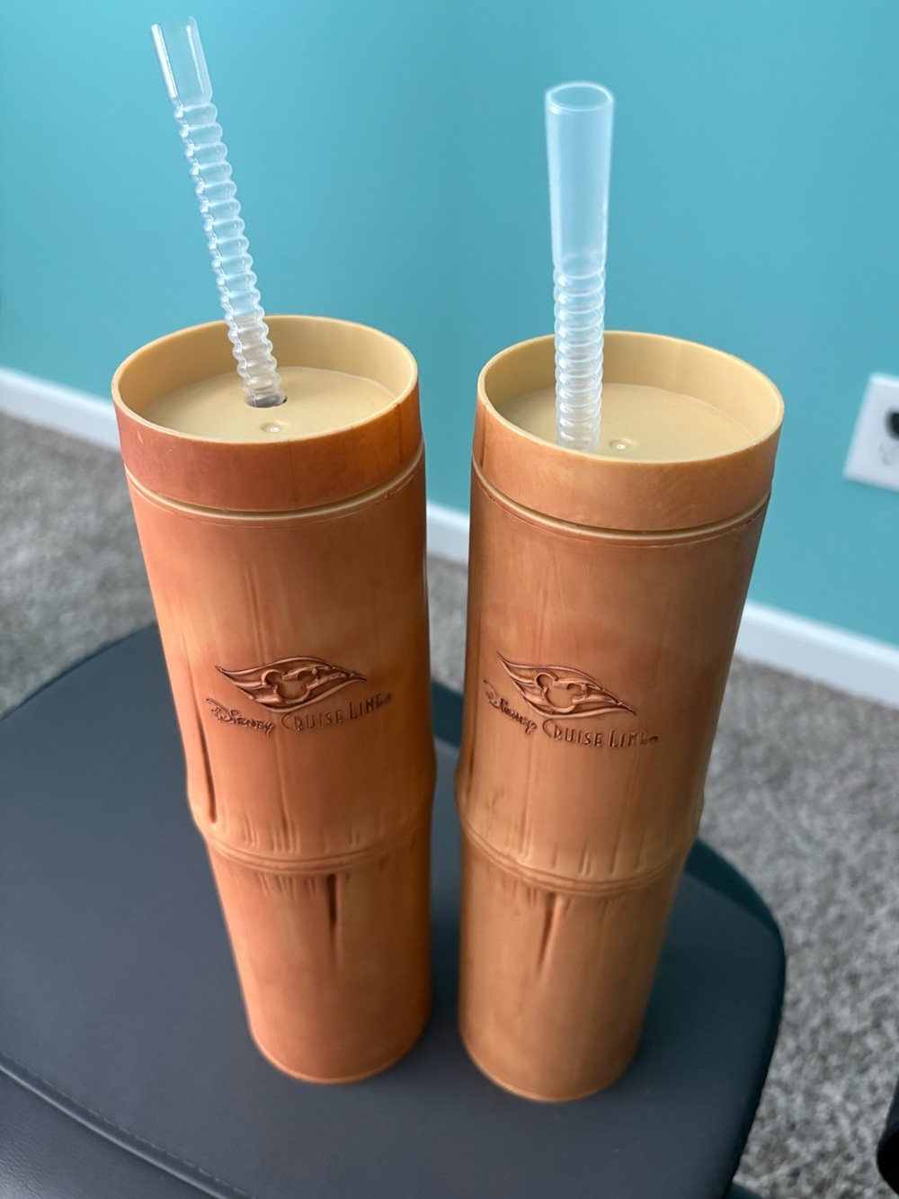Disney Cruise Line Bamboo Tumblers